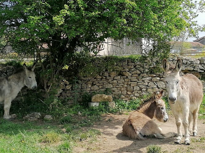 IMG_20220418_130405_resized_20220523_0914385061