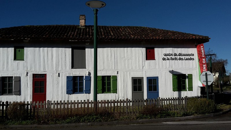 Graine de forêt - Centre de découverte de la forêt des Landes