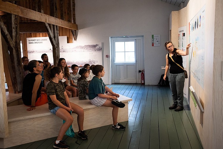 Graine de forêt (1).jpg_2