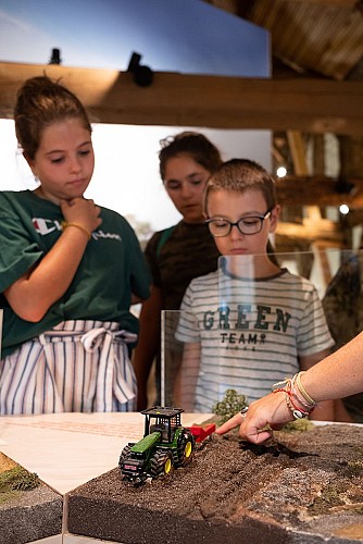 Graine de forêt (3).jpg_4