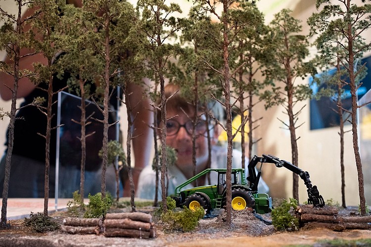 Graine de forêt (4).jpg_5