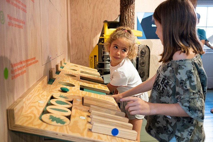 Graine de forêt (8).jpg_9