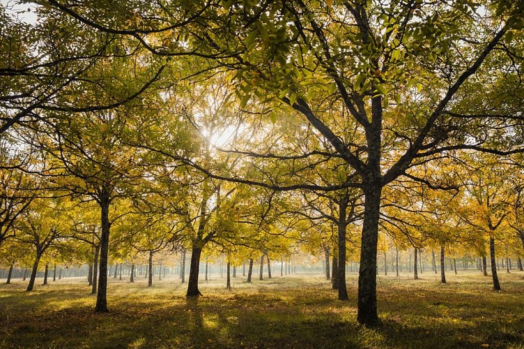 04-NERAC-5L4A0530©isasouri