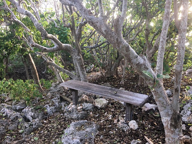 littoral Anse a la Gourde / Anse Baie Olive