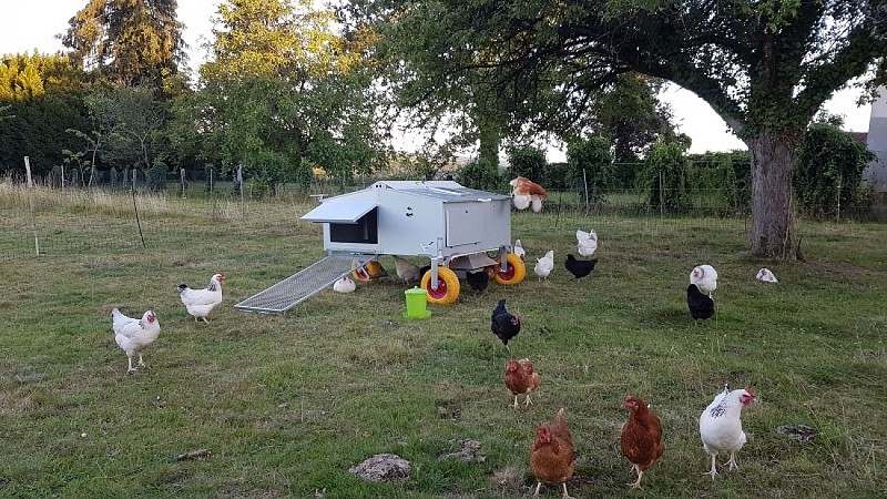 20220628_211249 (002)