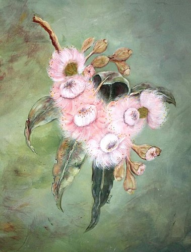 Gum Blossoms 
