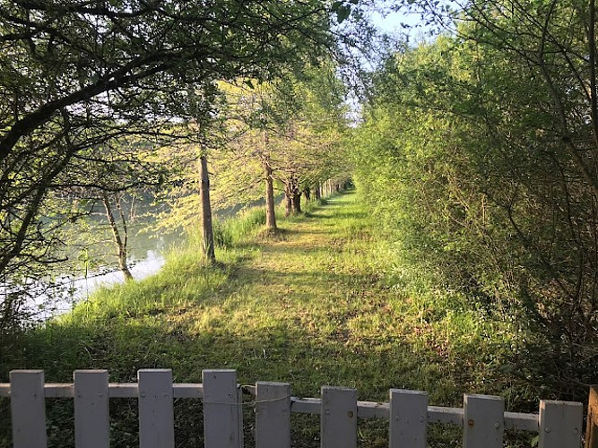 Moulin du lac de Bray,promenade