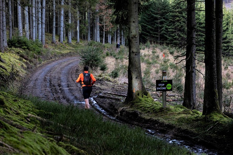 Trail tharée1