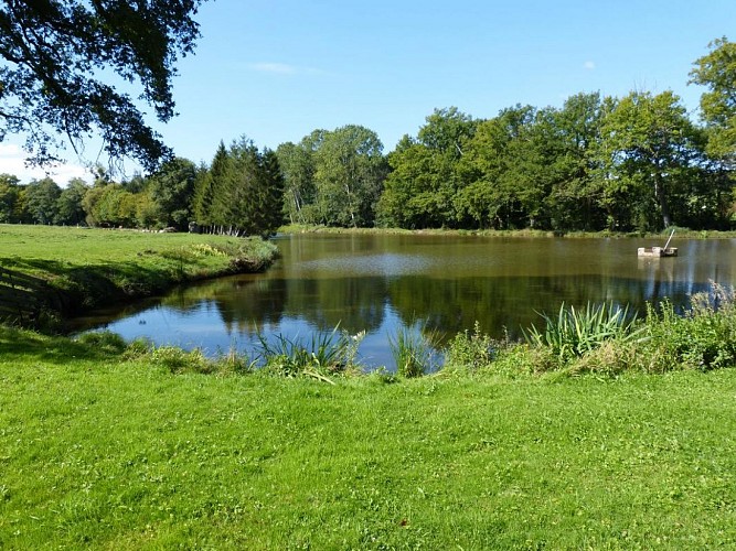 gite-les-genets-anciens-dampierre-sous-bouhy (15)