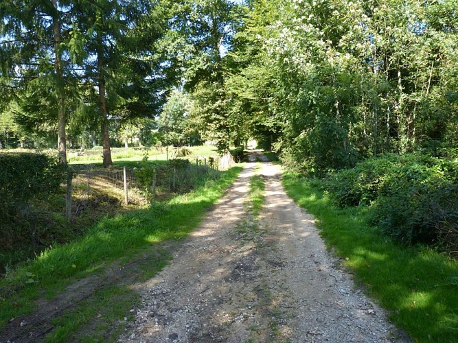 gite-les-genets-anciens-dampierre-sous-bouhy (1)