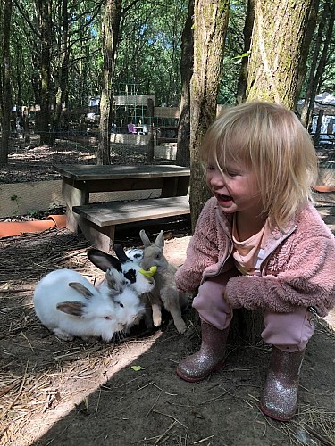 FERME PÉDAGOGIQUE «LES FUN K'BANES»