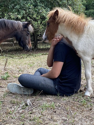 FERME PÉDAGOGIQUE «LES FUN K'BANES»