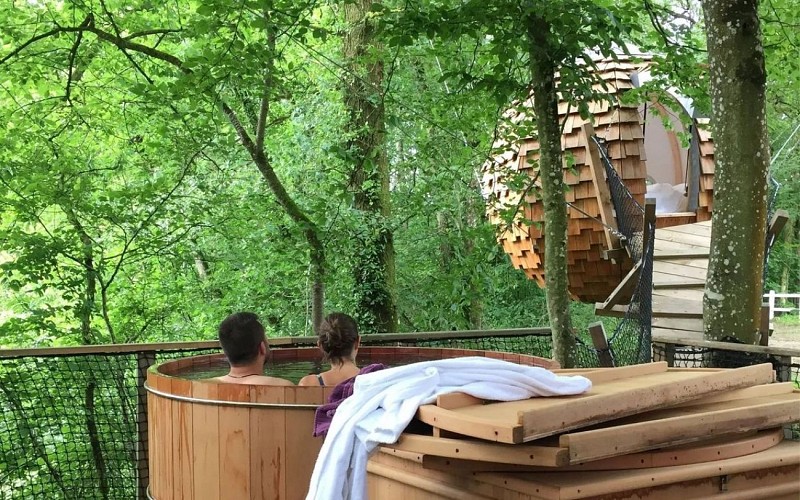 DOMAINE DES VAULX - LES CABANES SPA