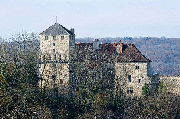 CHÂTEAU DE VALLEROY_1