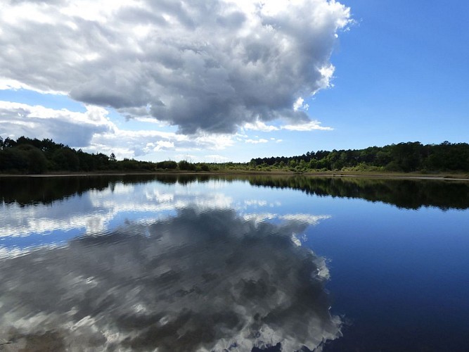 Langouarde l'étang Le Porge