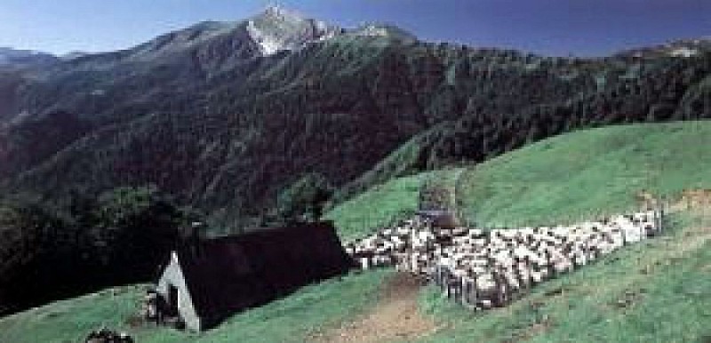 Aire naturelle de camping d'Iraty