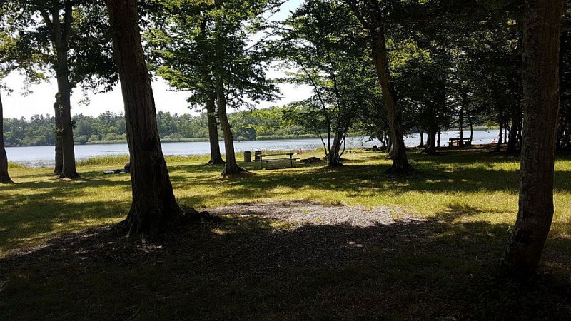 Aire de pique-nique de l'Etang des Bois
