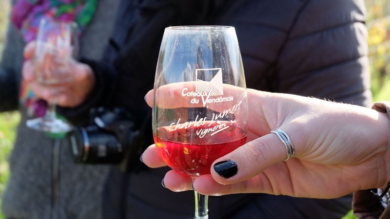 Dégustation au milieu des vignes