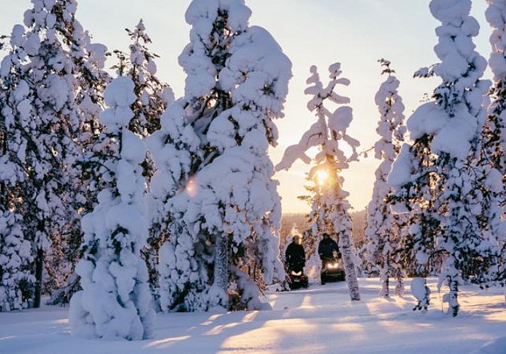 1 Hour Snowmobile Trip in Lapland's Forests - Departure from Rovaniemi