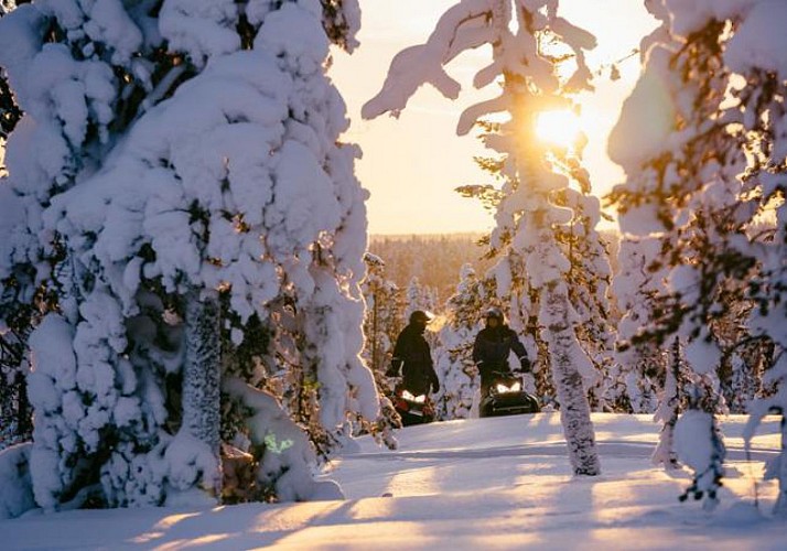 1 Hour Snowmobile Trip in Lapland's Forests - Departure from Rovaniemi