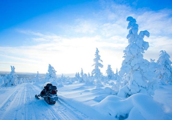 Balade en motoneige dans la forêt de Laponie (1h) - Au départ de Rovaniemi