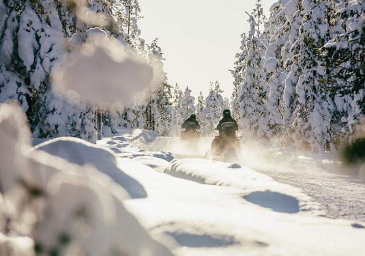 Balade en motoneige dans la forêt de Laponie (2h) - Au départ de Rovaniemi