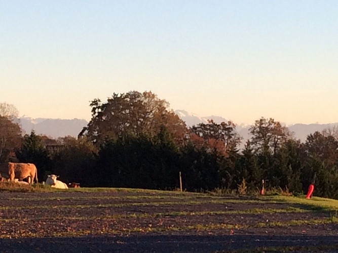 Aire de camping-car Labarraque