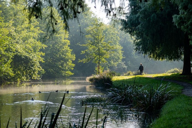 ruisseau_de_bibic_soustons_10.2024©Landes Atlantique Sud - V2
