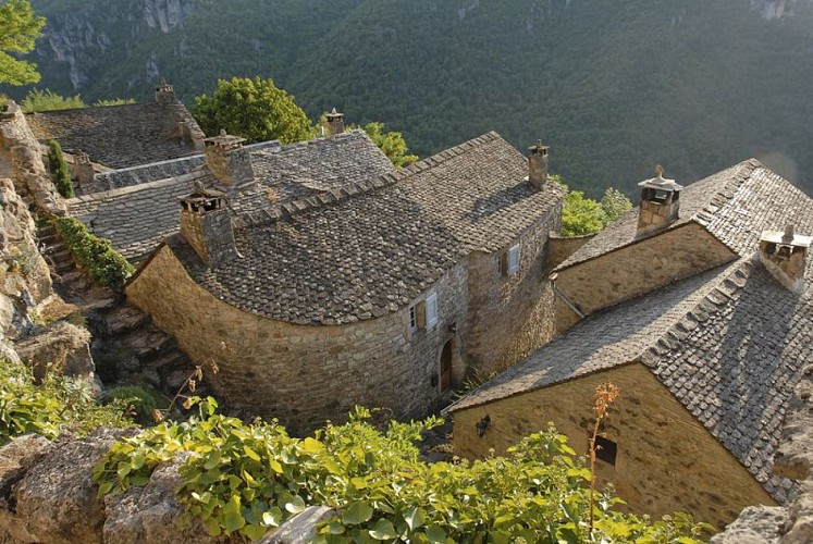 Gorges de la Dourbie