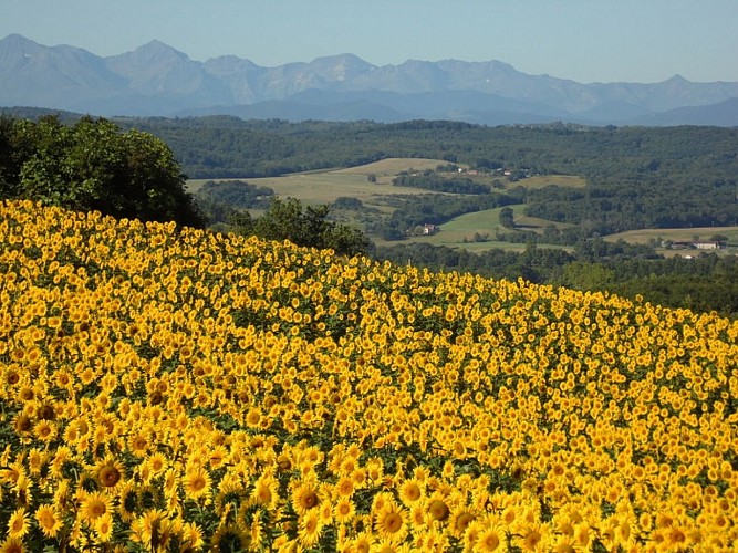 vue camping LA COMMUNION LATOUR