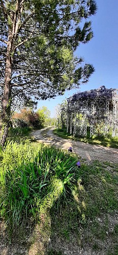 camping 1 LA COMMUNION LATOUR