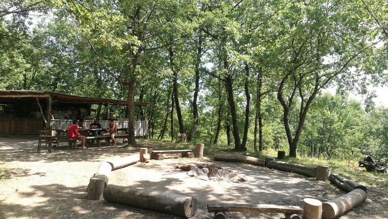 photo_2023-11-15_18-30-19