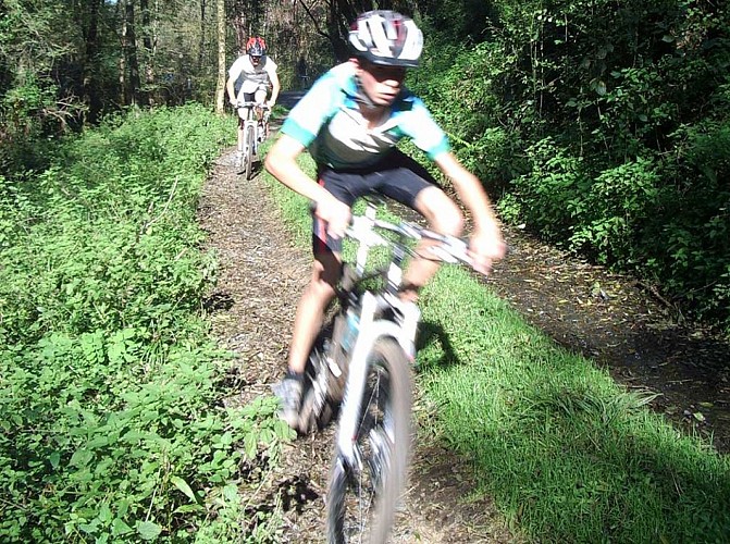 VTT et vélos électriques : BASE Sports Loisirs Vézère_1