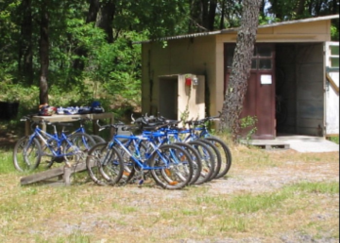 le-velo-en-foret_large