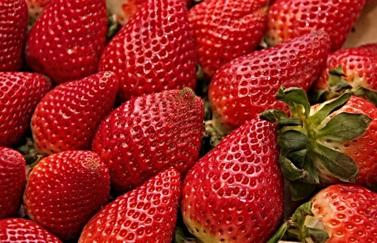 fraises