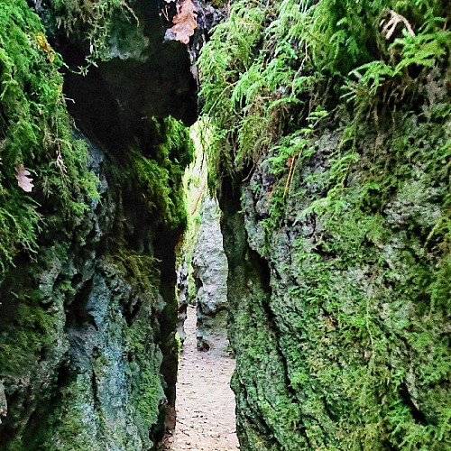 L'étroitesse des parois de la canole