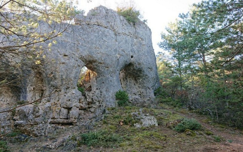Le crâne du géant