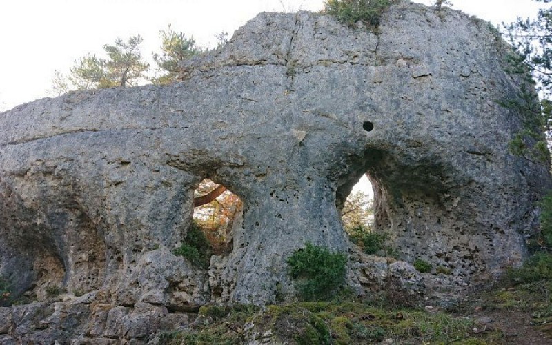 Le crâne du géant