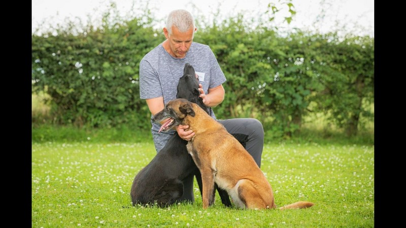 Philippe ©Espace Récréatif Canin de Mauhin