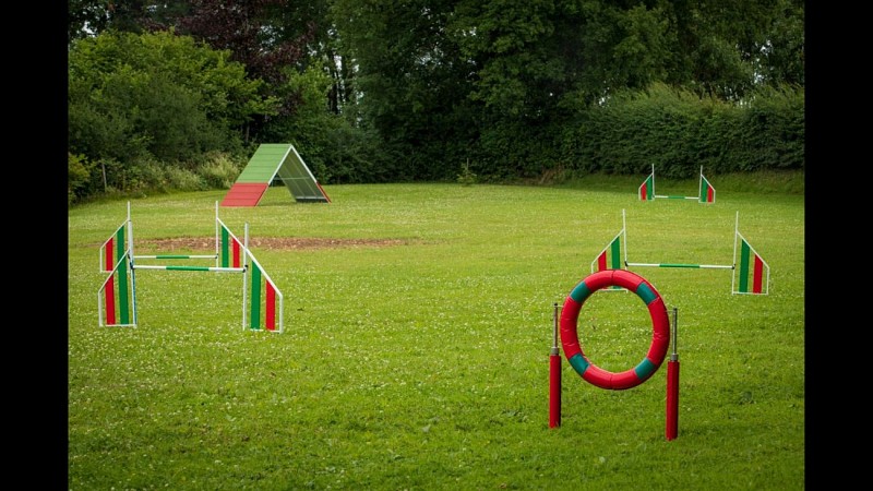 Agility ©Espace Récréatif Canin de Mauhin