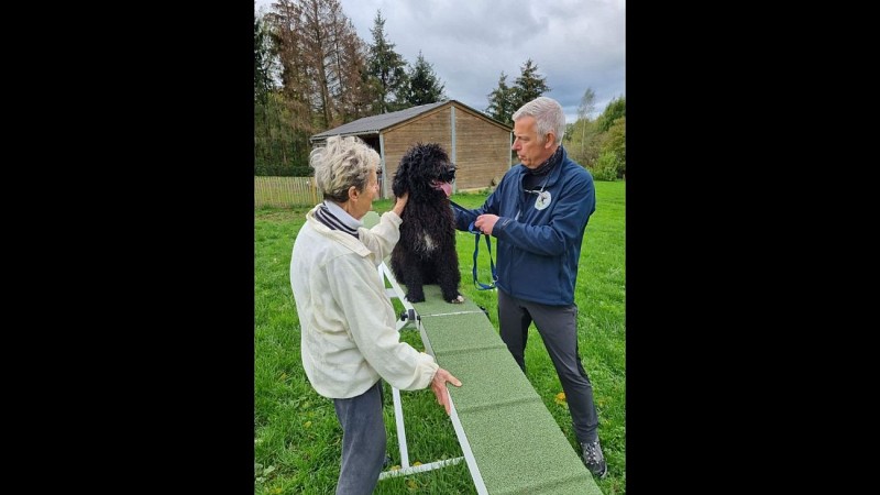 Passage d'obstacle ©Espace Récréatif Canin de Mauhin