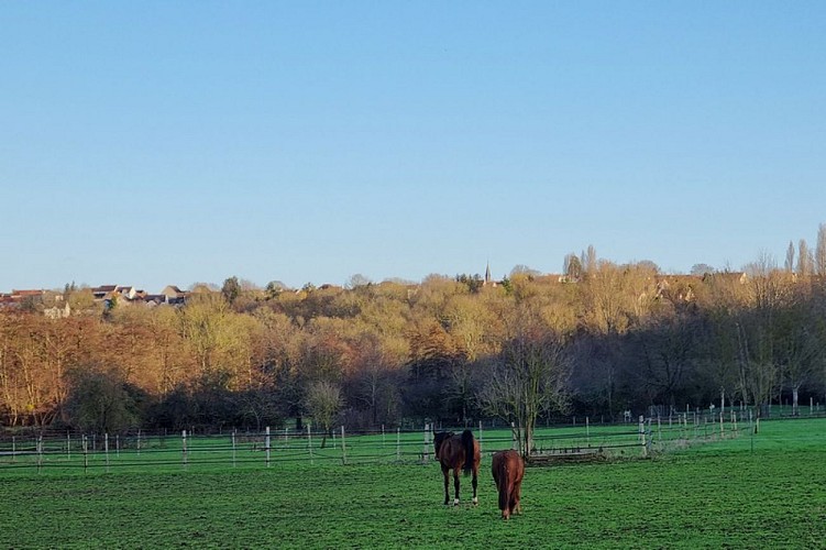 Les fontaines du Val d'Yerres