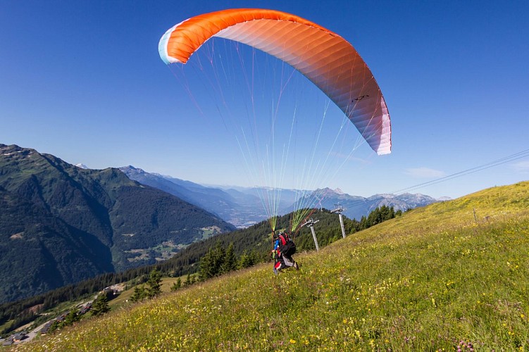 Sport 2000 - Les Volatiles