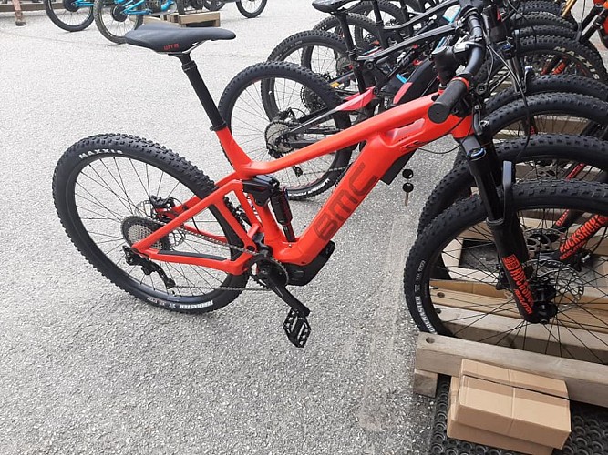 Sport 2000 - Les Volatiles