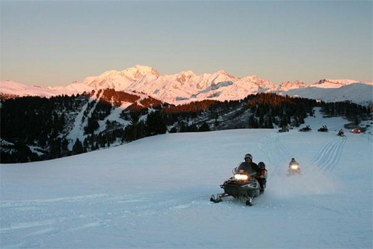 Sport 2000 - Les Volatiles