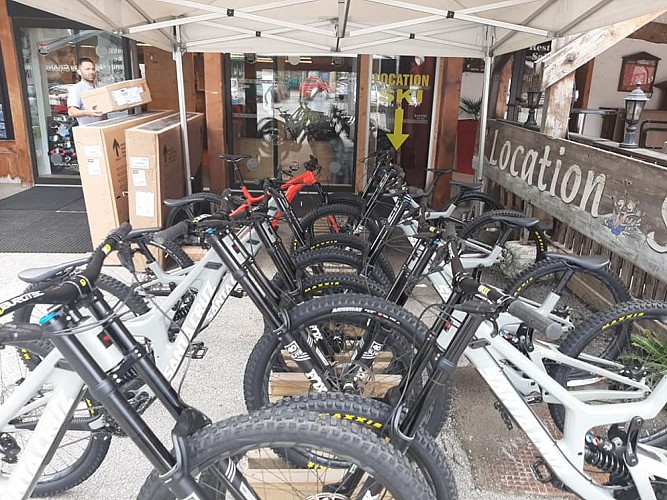 Sport 2000 - Les Volatiles