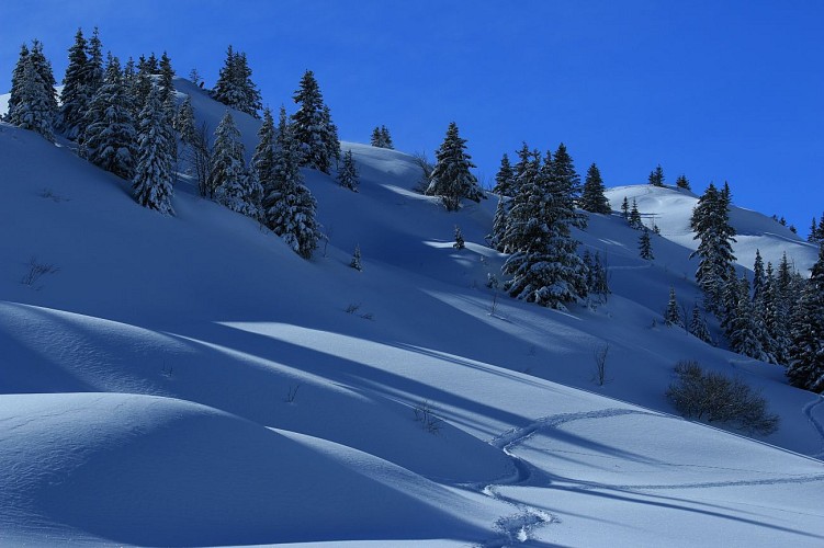 Bureau Montagne Art’itude