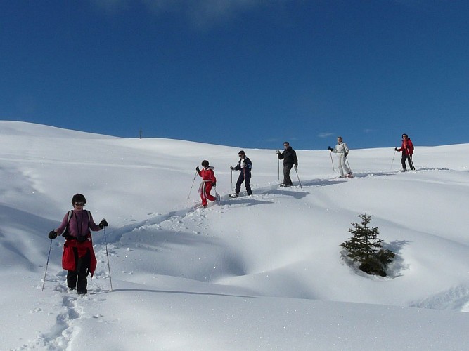 Bureau Montagne Art’itude