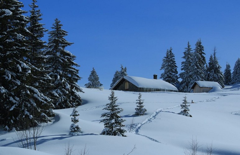 Bureau Montagne Art’itude