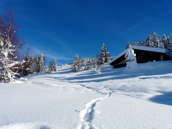 Bureau Montagne Art’itude